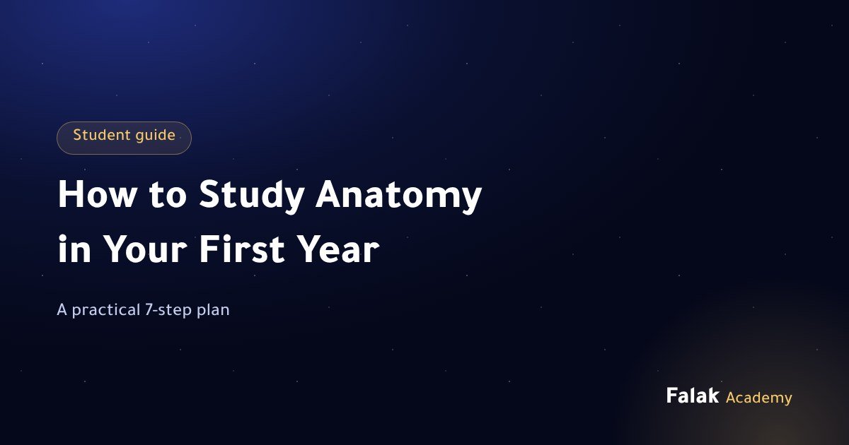 How to Study Anatomy in Your First Year: A Practical 7-Step Plan