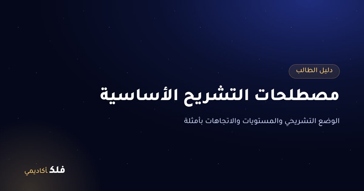 مصطلحات التشريح الأساسية: الوضع التشريحي والمستويات والاتجاهات بأمثلة