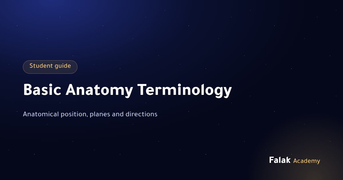 Basic Anatomy Terminology: Anatomical Position, Planes and Directions with Examples