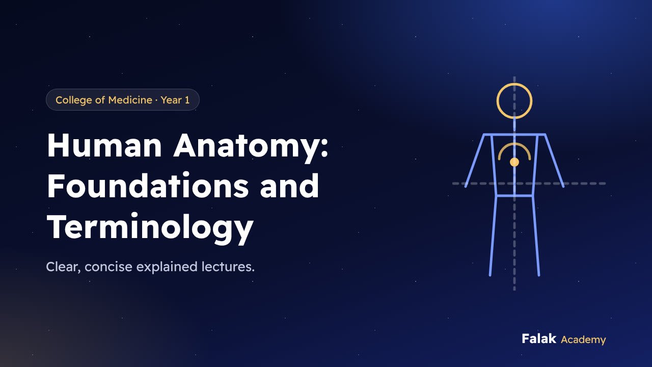 Human Anatomy: Foundations and Terminology